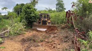 Строительство, дорога в лесу , обзор