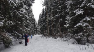 Холодная январская прогулка в теплом кругу семьи