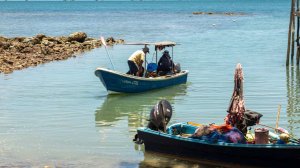 Лодка с 300 мигрантами затонула у берегов Малайзии