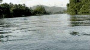 Хочу найти я ветер в поле