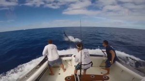 За Секунду До... Везения Один На Миллиард Снятые на Камеру !