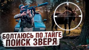 НАДО ЗАКРЫТЬ ЛИЦЕНЗИЮ ПО ЛОСЮ // БОЛТАЮСЬ ПО ТАЙГЕ