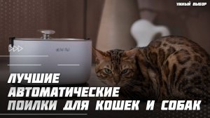 Топ-5 автоматических поилок для кошек и собак в 2025 году — Какую поилку выбрать для своего питомца?