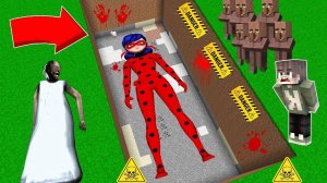 НАШЕЛ ОГРОМНЫЙ СЕКРЕТ ЛЕДИ БАГ В ДОМЕ БАБКИ ГРЕННИ В МАЙНКРАФТ