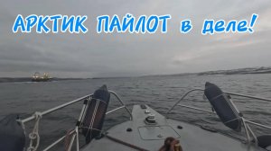 Арктические лоцмана в деле!