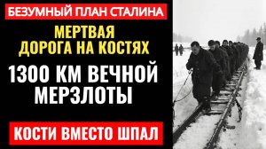 МЕРТВАЯ ДОРОГА В НИКУДА. Как 300 000 зэков ГУЛАГ построили 1300 км железной дороги в вечной мерзлоте