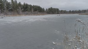 вот и выпал снова снег ❄️ и я пошёл прогуляться по заснеженному лесу 🌲