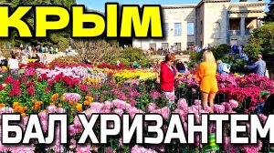 КРЫМ. "МОРЕ ЦВЕТОВ". НИКИТСКИЙ БОТАНИЧЕСКИЙ САД. БАЛ ХРИЗАНТЕМ. НОЯБРЬ.  #крым #хризантема #ялта