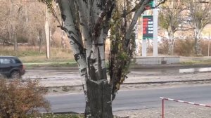 Порыв воды на пр. Дзержинского.