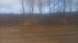 Нажива , двигатель капитализма