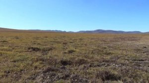 Чукотка 2025. Часть 5. На озеро Эльгыгытгын.