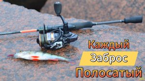 КАЖДЫЙ ЗАБРОС ПОЛОСАТЫЙ РЫБАЛКА ЗА ГОРОДОМ НА ОТВОДНОЙ ПОИСКИ ХИЩНИКА ОКУНЯ СУДАКА НОЯБРЬ