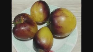 Каталог томатов  2025 год. Часть 1. Томаты селекции Софии Сааковой -  Новинки моей коллекции.