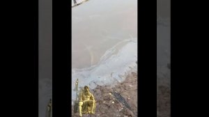 Экологическая катастрофа в Киришском районе на реке Волхове!