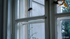 copy_80A56C8D-20DE-4654-AFE4-A09A22578592