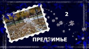 Предзимье.  Брошь по ошибке. #вязание #рукоделие #handmade