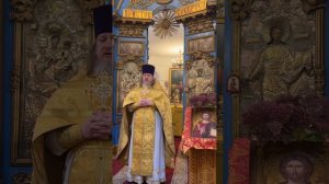 об исцелении гадаринского бесноватого