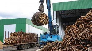 На Украине повреждена первая в стране крупная ТЭС на биомассе