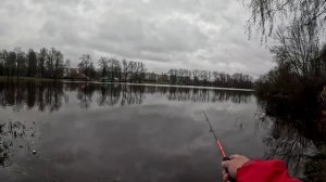 Друзья не большой опрос, как вам такой формат видео?