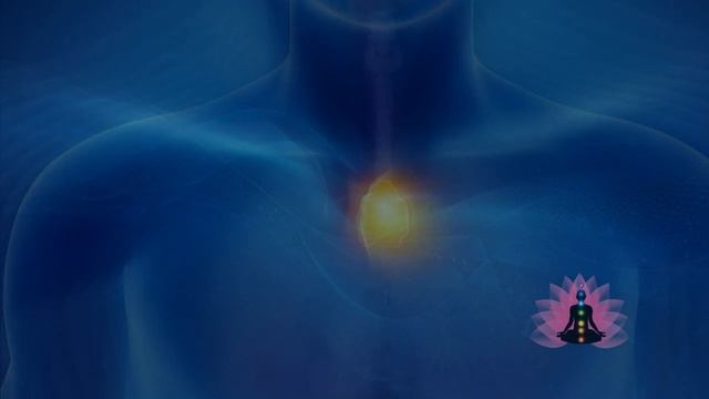 10 Ноября 2025 Обновление матриц Гаряева БРТ Новинки сайт WAVEGENETICS.RU