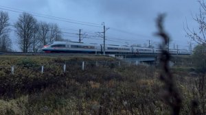 «В сумерках!» Электропоезд «Сапсан» Siemens Velaro RUS на перегоне, октябрь 2025 года