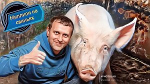 Свиноматки породы ландрас плюсы и минусы!