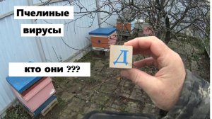 Вирусы пчёл.