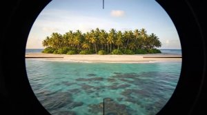 Котики и необитаемый остров