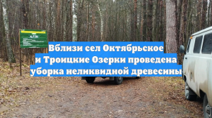 Вблизи сел Октябрьское и Троицкие Озерки проведена уборка неликвидной древесины