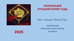 Провинция ЗЕМЛЯНИЧНАЯ ПОЛЯНА 4 смена Гала - концерт Винни-Пух