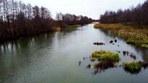 ПЕРЕСЫПКИНО -1 ТАМБОВСКАЯ ОБЛАСТЬ: ПЛОТИНА, РЕКА ВОРОНА, ПРУД...