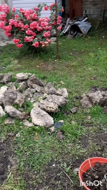 Дом и двор.Сборник интересных моментов на эту тему.Фильм5.Серия1.Часть3 .mp4