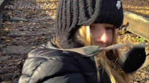 что происходит за кадром? шляйх влог ✨ / #фигурки #шляйх #schleich #лошади #собаки 🍁