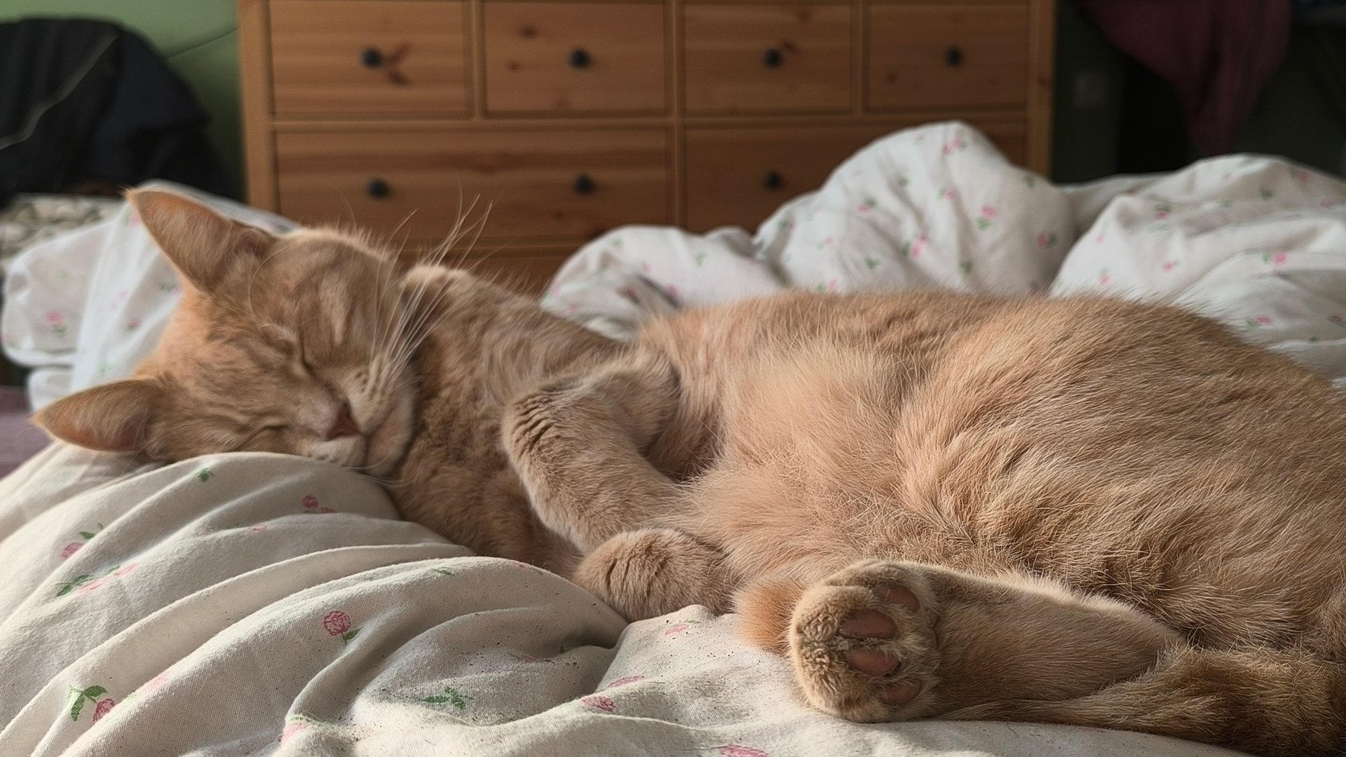 Осень ноябрь 20С