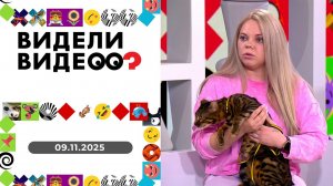 Видели видео? Выпуск от 09.11.2025