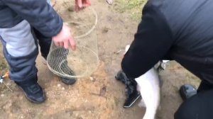 поимка форели на блесну