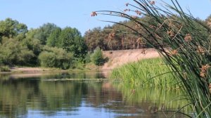 Н.Бучинская Река любви