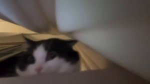 Доброе утро на Хорошего вам настроения!