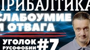 ПРИБАЛТИКА. Слабоумие и Отвага // Уголок Русофобии #7