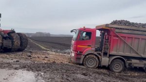 Перевозка сахарной свеклы