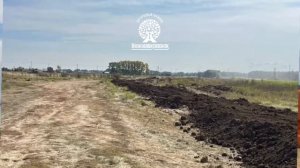 Земельные участки в Новосибирской области. ИЖС. НСО. Новоалексеевск.