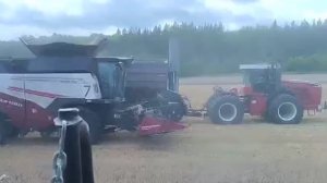 Торум785. Уборочная пшеницы.Прошлогоднее видео.