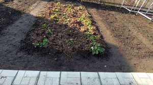 Участок 9 ноября