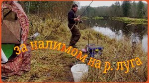 За НАЛИМОМ на р.ЛУГА. С Ночёвкой в ПАЛАТКЕ с ПЕЧКОЙ.
