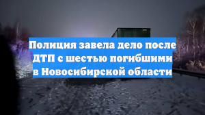 Полиция завела дело после ДТП с шестью погибшими в Новосибирской области