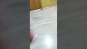 Мистическое Пространство