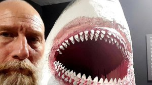 Omsk History Makes You Smile