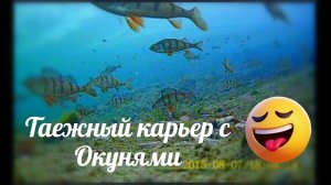 Первый лёд. Окуни небольшого карьера.