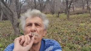 Привет, Ваше Благородие Сад!