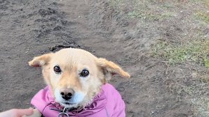 я танцую в рб